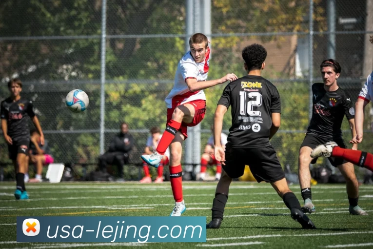 乐竟官网平台生态图